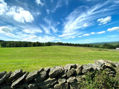 Geniş çayırlar, kuru bir taş duvarın ötesinde, ağaçlar ve tepeler var, Skipton, Yorkshire, İngiltere yakınlarında.