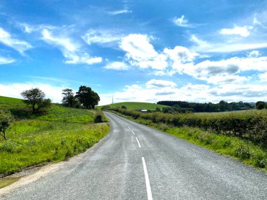 Gledstone Yolu boyunca bakın, vahşi bitkiler, ağaçlar ve mavi gökyüzü ile, Martons, Skipton, İngiltere