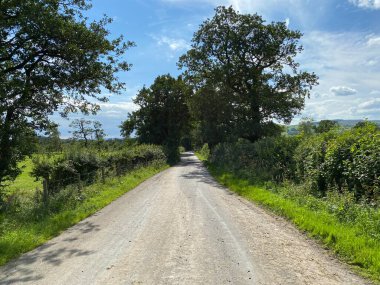 Hellifield Yolu boyunca ağaçlar, tarlalar ve çimenler var. Bolton, Bowland, Clitheroe, İngiltere.