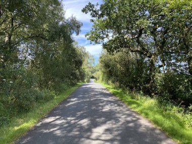 Köy şeridi, ağaçlar ve yakınındaki yabani bitkilerle, Hellifield, Skipton, İngiltere