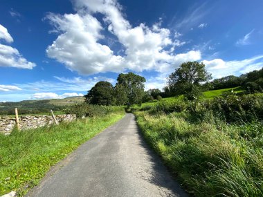 Kuru taş duvarlar, yabani bitkiler ve ağaçlarla birlikte Newbiggin, Leyburn, İngiltere