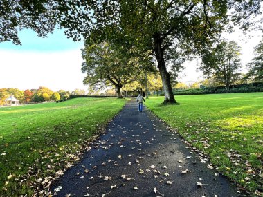 Bradford, İngiltere 'deki Autumn Park Peyzajı