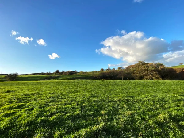 Ufukta eski ağaçlar ve bulutlar, Tong, Bradford, İngiltere 'de büyük kesilmemiş çayır.