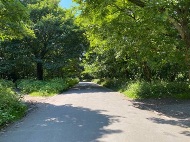 Ainsbury Bulvarı boyunca Thackley, Bradford, İngiltere 'deki yerel ormana doğru ilerleyin.