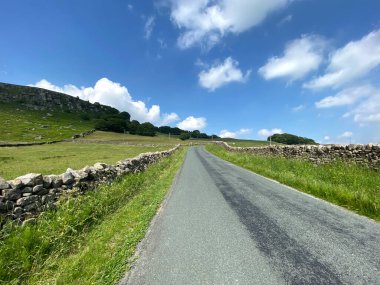 Yukarıya, Barden Yolu 'na bakıyorum, kuru taş duvarlarla, fundalıkların üzerinden Burnsall' a doğru.