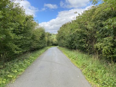 Ağaçlar, yabani bitkiler ve bulutlu bir gökyüzü olan Draughton, Skipton, İngiltere 'ye bakıyorum.