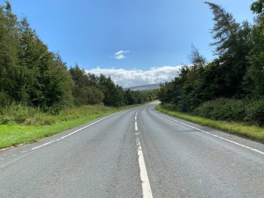 Addingham Wharfedale Yolu boyunca ağaçlar, çimenler ve mavi gökyüzü, Addingham, Ilkley, İngiltere