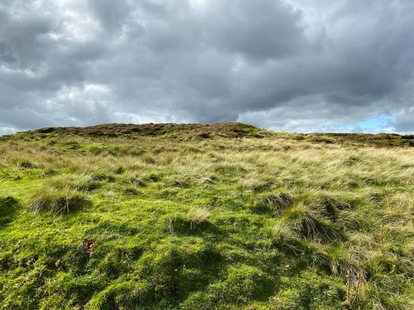 Moorland Lado Barden Road Com Plantas Selvagens Gorse Nuvens Chuva — Fotografia de Stock