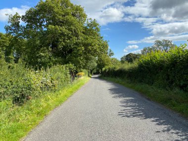 Aşağı bak, Cocking Lane, ağaçlar, çalılar, ve mavi gökyüzü, Addingham, Ilkley, İngiltere