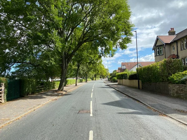 Mirando Largo Bolling Road Con Grandes Árboles Casas Día Soleado — Foto de Stock