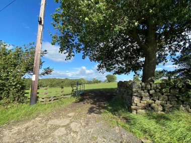 Açık çiftlik kapısı, kuru bir taş duvarın yanında, ve eğimli bir tarlası olan büyük eski bir ağaç, ve uzak mesafedeki ağaçlar, Great Timble, Harrogate, İngiltere
