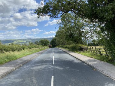 Otley 'e giden yol, yabani bitkiler, ahşap çitler, ağaçlar ve uzak tepeler. 