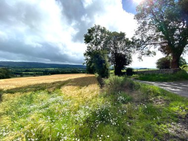 Kırsal alan, çimler, tarlalar, ağaçlar ve uzak tepeler, Lindley, Harrogate, İngiltere