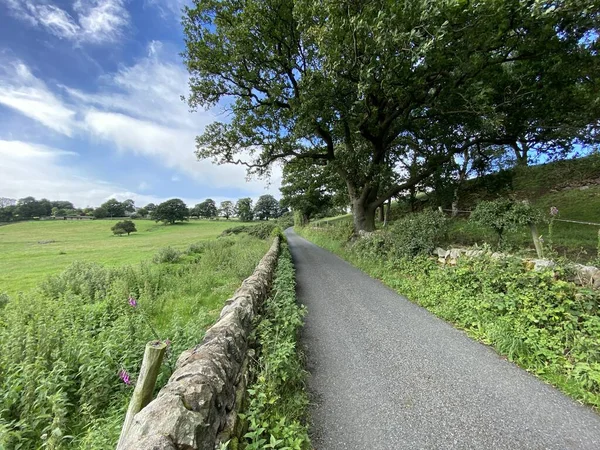 英国Harrogate Lindley 乡村小路 旁边有干枯的石墙 旁边有田野和老树 — 图库照片