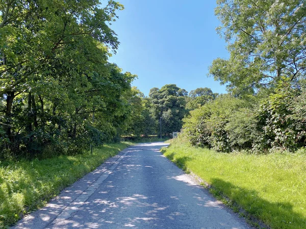 Priesthorpe Road Mit Alten Bäumen Graseinfassungen Und Einem Strahlend Blauen — Stockfoto