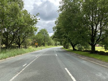 A62 Huddersfield Yolu, eski ağaçlarla kaplı ve bulutlu bir gökyüzü, Delph, Oldham, İngiltere yakınlarında.