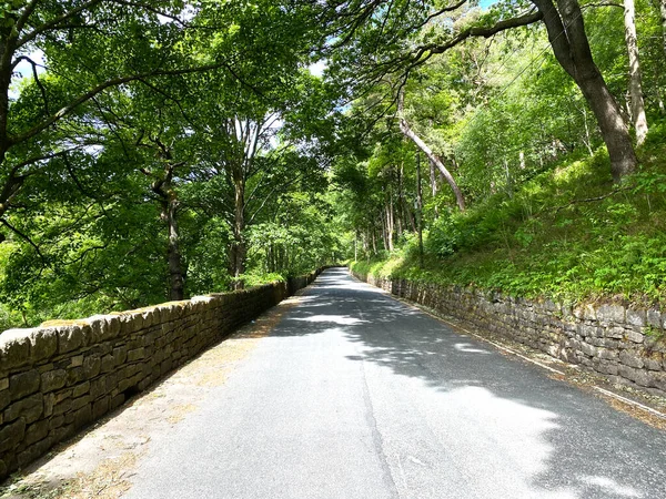 Pohled Podél Midgehole Road Suchými Kamennými Zdmi Staré Stromy Blízkosti — Stock fotografie