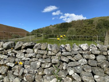Litton, Skipton, İngiltere 'deki kuru bir taş duvarın üzerinde çiçekler, tarlalar, tepeler ve bozkırlar vardı.