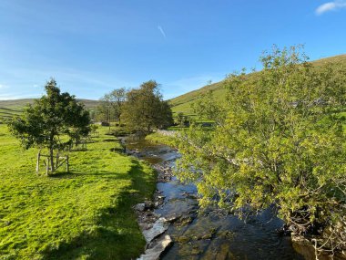 Litton, Skipton, İngiltere yakınlarındaki mavi gökyüzüne uzanan çimenli kıyıları ve yaşlı ağaçlarıyla Skirfare Nehri manzarası.
