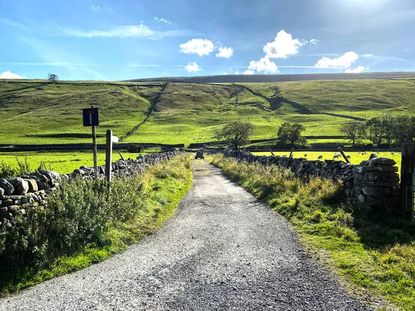 Looking Farm Road Dry Stone Walls Hills Distance Late Summers — Foto Stock