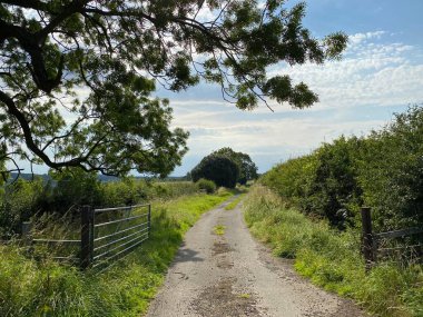 Açık çiftlik kapısı ve Moor Lane 'in yanında eski ağaçlar, yabani bitkiler ve bulutlu gökyüzü olan bir at arabası pisti. Doğu Keswick, Leeds, İngiltere.