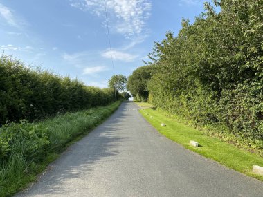 Moor Lane 'in dibinde, yüksek çitleri ve yabani bitkileri olan, Doğu Keswick, Leeds, İngiltere