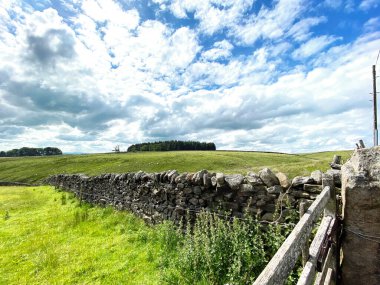 Skipton, Yorkshire, İngiltere 'deki tepelere doğru, kuru bir taş duvarı geçtikten sonra, bir çiftlik kapısına bakıyorum.