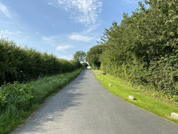 Moor Lane 'in dibinde, yüksek çitleri ve yabani bitkileri olan, Doğu Keswick, Leeds, İngiltere