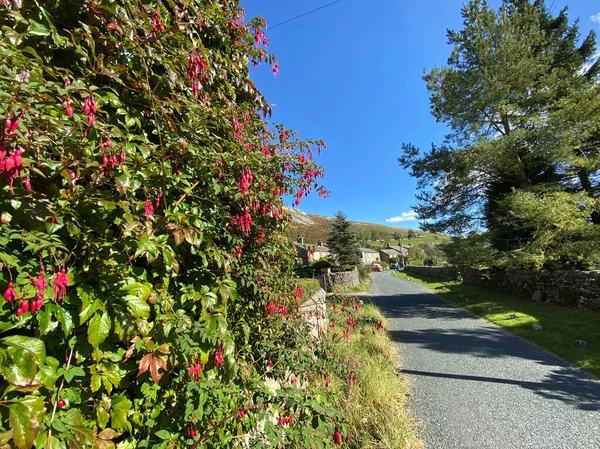 Yolun aşağısında, Hawkswick 'in köyünde kır evleri, ağaçlar ve parlak mavi gökyüzü, Hawkswick, Skipton, İngiltere