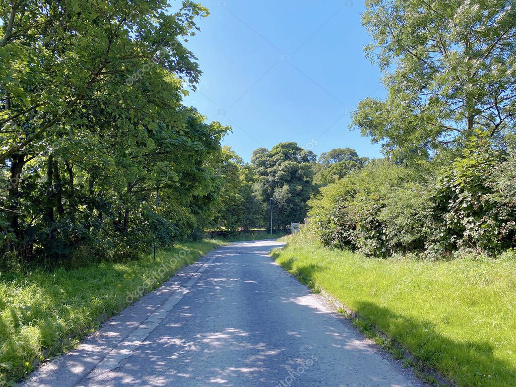 Mirando hacia el final de, Priesthorpe Road, con plantas silvestres