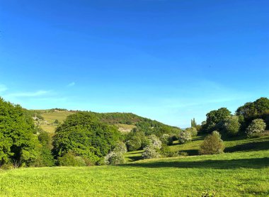Shibden Vadisi 'nin sonlarına doğru, Shibden, Halifax, İngiltere' de eski ağaçlar ve mavi gökyüzü vardı.
