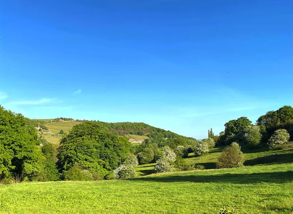 Late Summers Day Shibden Valley Old Trees Blue Sky Shibden — Stock Photo, Image