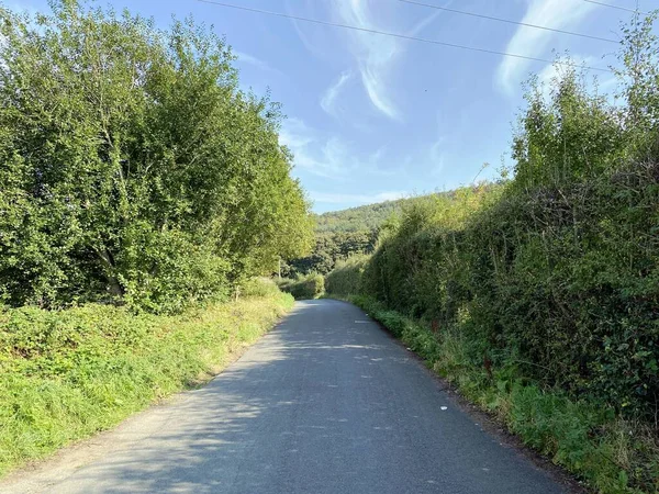 View Looking Esholt Lane Grassy Banks Old Trees Forest Distance — стокове фото