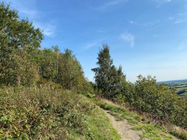 Yürüyüşçülerin patikası, yukarıdaki tepelerde, Shibden Vadisi, yakınında yabani bitkiler, ağaçlar ve çalılar, Halifax, Yorkshire, İngiltere