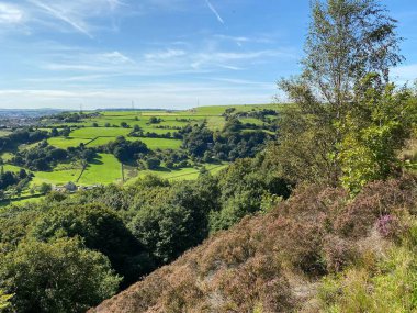 Manzara manzarası, Halifax, Yorkshire, İngiltere yakınlarındaki tepelere ve vadilere uzanan eski ağaçlar.