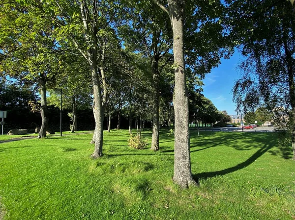 Woodland Der Nähe Der Universität Von Bradford Einem Sonnigen Tag — Stockfoto