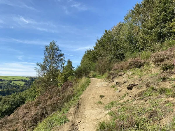 Yaya yolu, tepenin üstünde, Shibden Vadisi 'nin üstünde, küçük bir orman, gorse, yabani bitkiler, ve yakınlardaki araziler, Halifax, Yorkshire, İngiltere