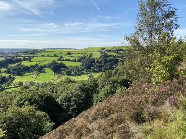 Manzara manzarası, Halifax, Yorkshire, İngiltere yakınlarındaki tepelere ve vadilere uzanan eski ağaçlar.