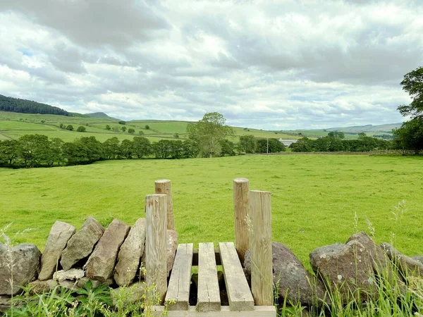 Manzara manzarası, kırsal kesimde, yakınındaki tarlalar, ağaçlar ve tepeler, Skipton, Yorkshire, İngiltere