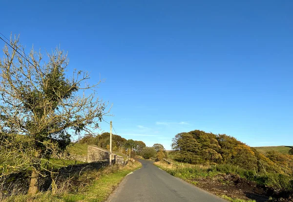 Pozdní Podzimní Večer Stromy Farmářskou Budovou Goat Lane Stainforth Velká — Stock fotografie