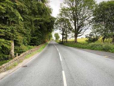 Skipton 'dan Grassington yoluna bakın, kuru taş duvarlar, yakınındaki eski ağaçlar ve tarlalar, Skipton, Yorkshire, İngiltere