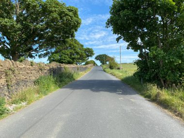 Yukarı bakıyorum, New Lane, kuru taş duvarlar, ağaçlar, ve mavi gökyüzü, Tong, Bradford, İngiltere