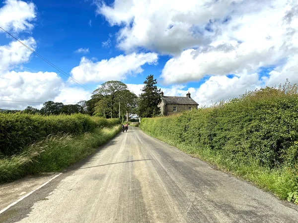 在一个阳光灿烂的日子里 沿着克利瑟罗到斯基普顿的公路 有骑自行车的人 高高的树篱和农场 靠近英国斯基普顿的马勒姆 — 图库照片