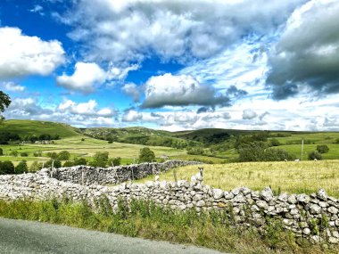 Koyun, tarla, tepeler ve ağaçların olduğu kuru bir taş duvarın üzerinde, Chapel Gate, Malham, Skipton, İngiltere