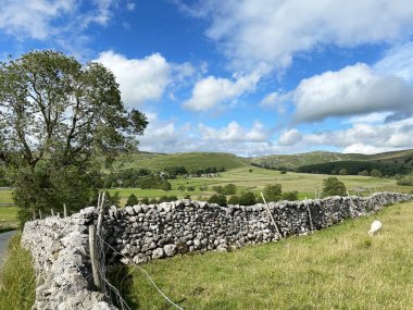 Bir tarlanın köşesine bakıyorum, kuru taş duvarlar, koyunlar, yabani otlar ve tepelerin ötesinde, Malham, Skipton, İngiltere