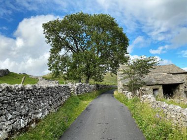 Gordale Lane 'de kuru taş duvarlar, çiftlik binaları ve Malham, Skipton, İngiltere yakınlarındaki büyük eski bir ağaç görünüyor.