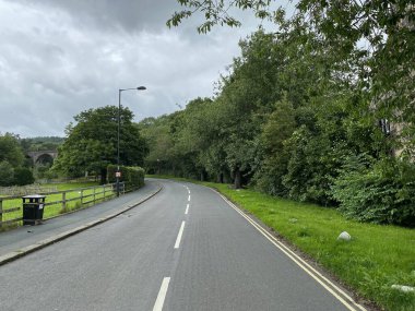 Aşağı bakıyorum, Esholt Lane, eski ağaçlar ve uzakta bir viyadük, Esholt, Bradford, İngiltere.