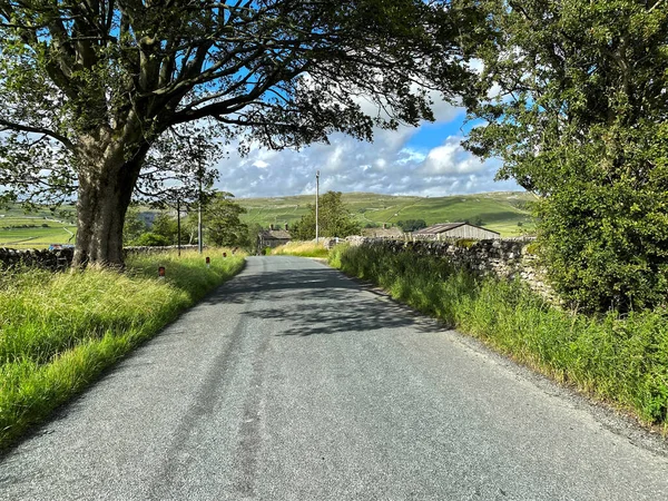 Looking Kirby Brow Old Trees Wild Plants Farms Malham Distance — Fotografia de Stock