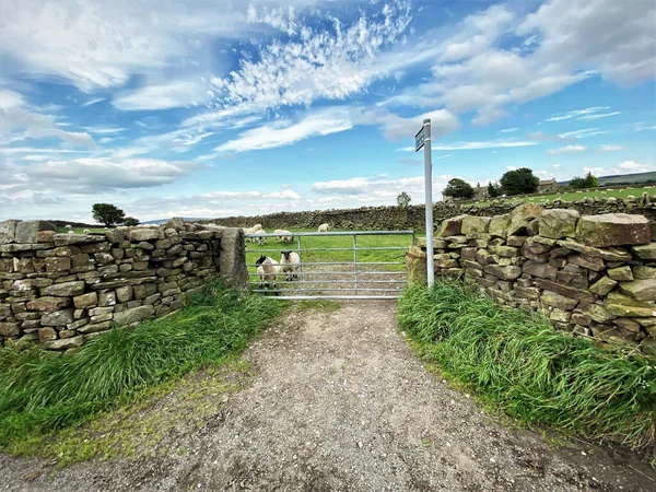 View Sheep Gate Next Dry Stone Walls High Hills Bank — Foto Stock