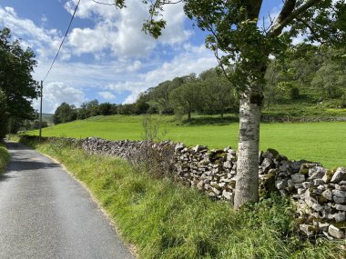 Duvarın ötesinde, çayırların, ağaçların ve Stubbing Lane, Hubberholme, Skipton, İngiltere 'den gelen yabani bitkilerin manzarası. 